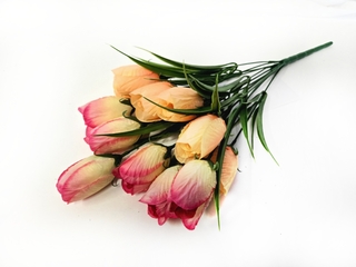 Б-т Тюльпанов 