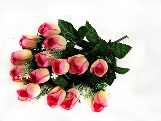 Б-т Тюльпанов 