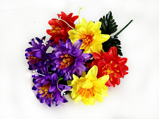 Б-т Георгина атласного  цветного 