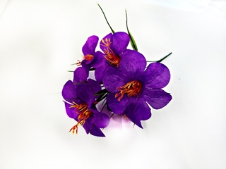 Б-т Малопы цветной 