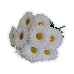 Б-т Гербера 