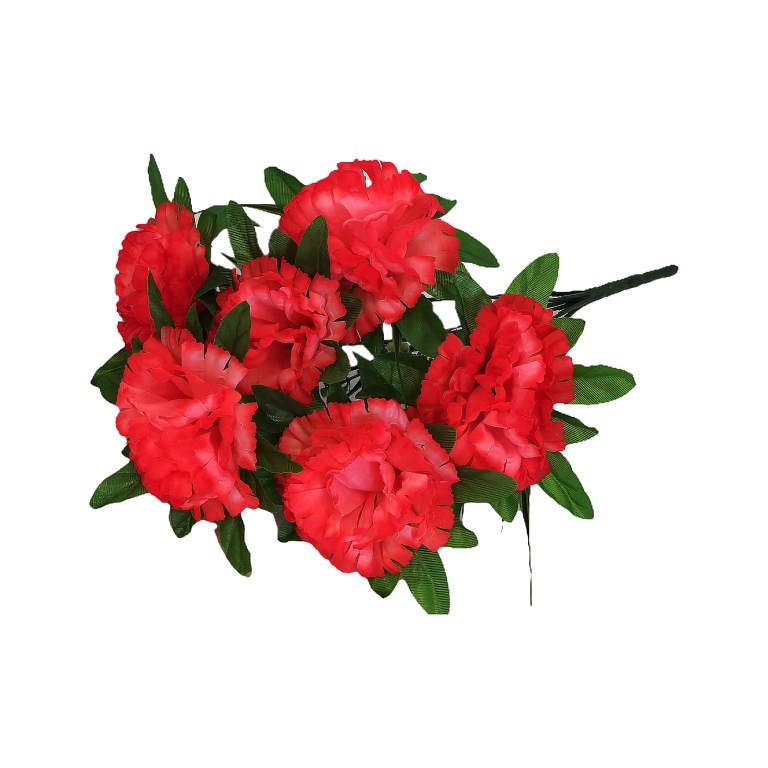 Б-т Гвоздика 