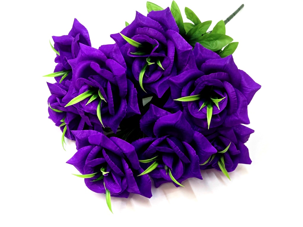 Б-т Роза с усами 