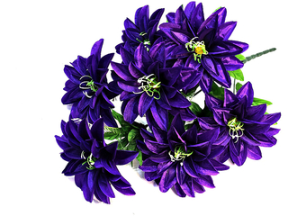 Б-т Георгин атласный 