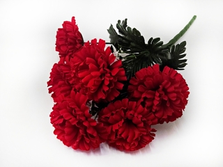 Б-т Гвоздика бархатная 