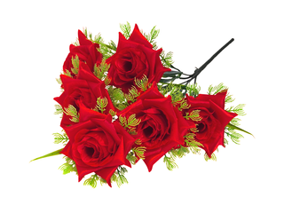 Б-т  Роза остроконечная атлас 