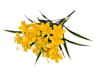 Б-т  Лютиков пластиков 