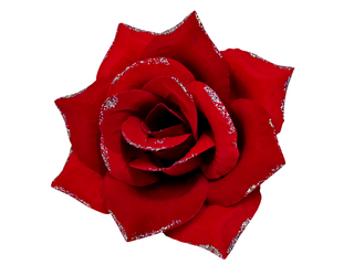 Роза бархатная углом с серебром 