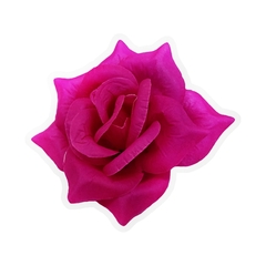 Роза углом средняя  