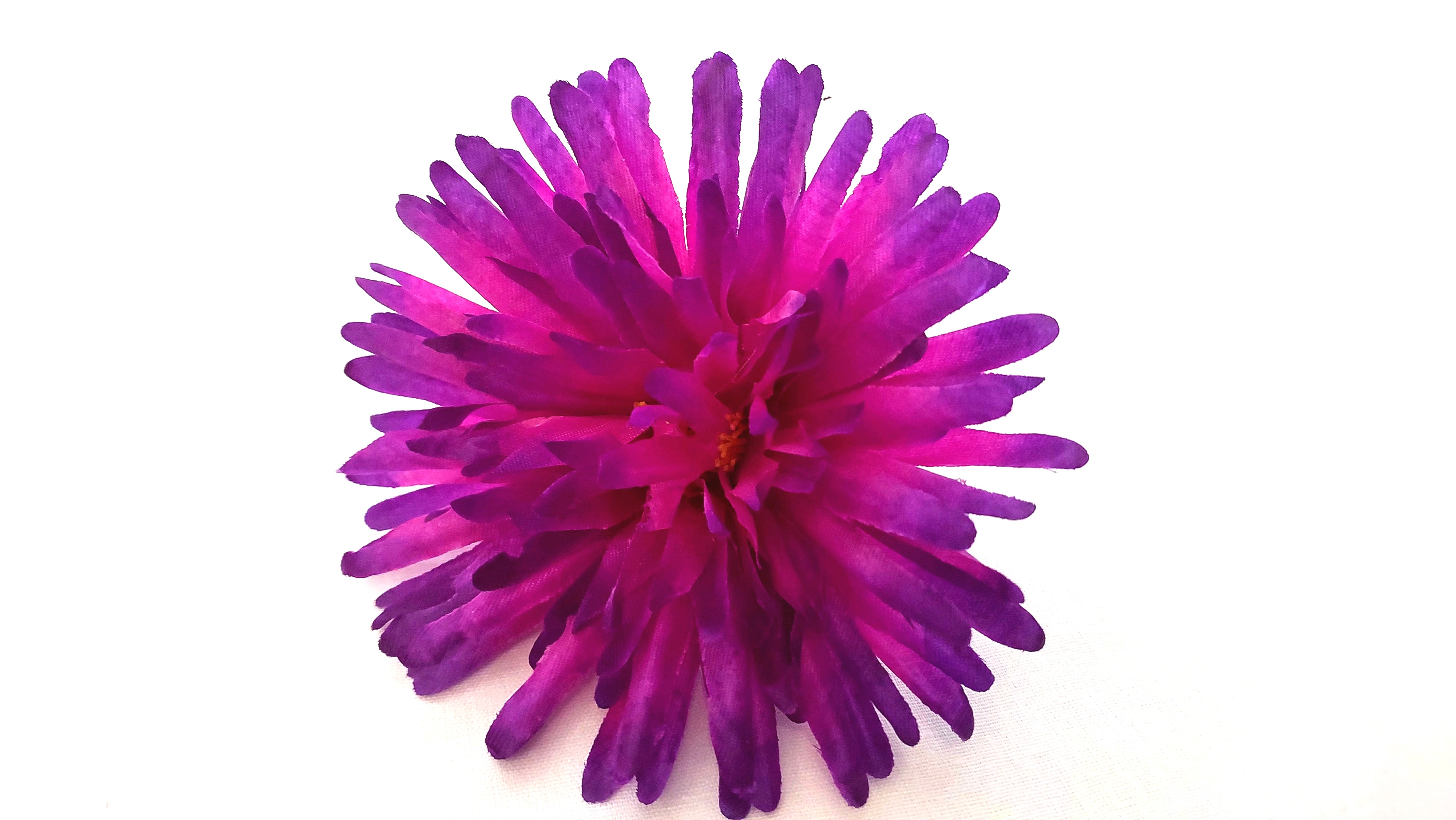 Астра натуральная игольчатая атласная 