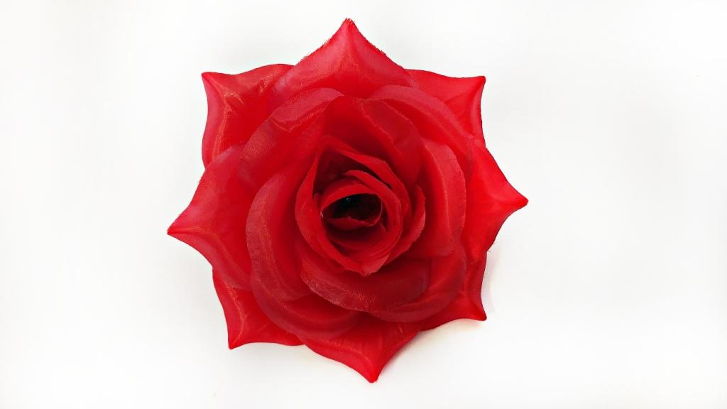 Роза атласная крупная 