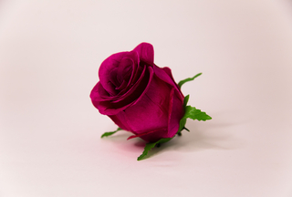 Бутон атласный Арландо 9см №50014