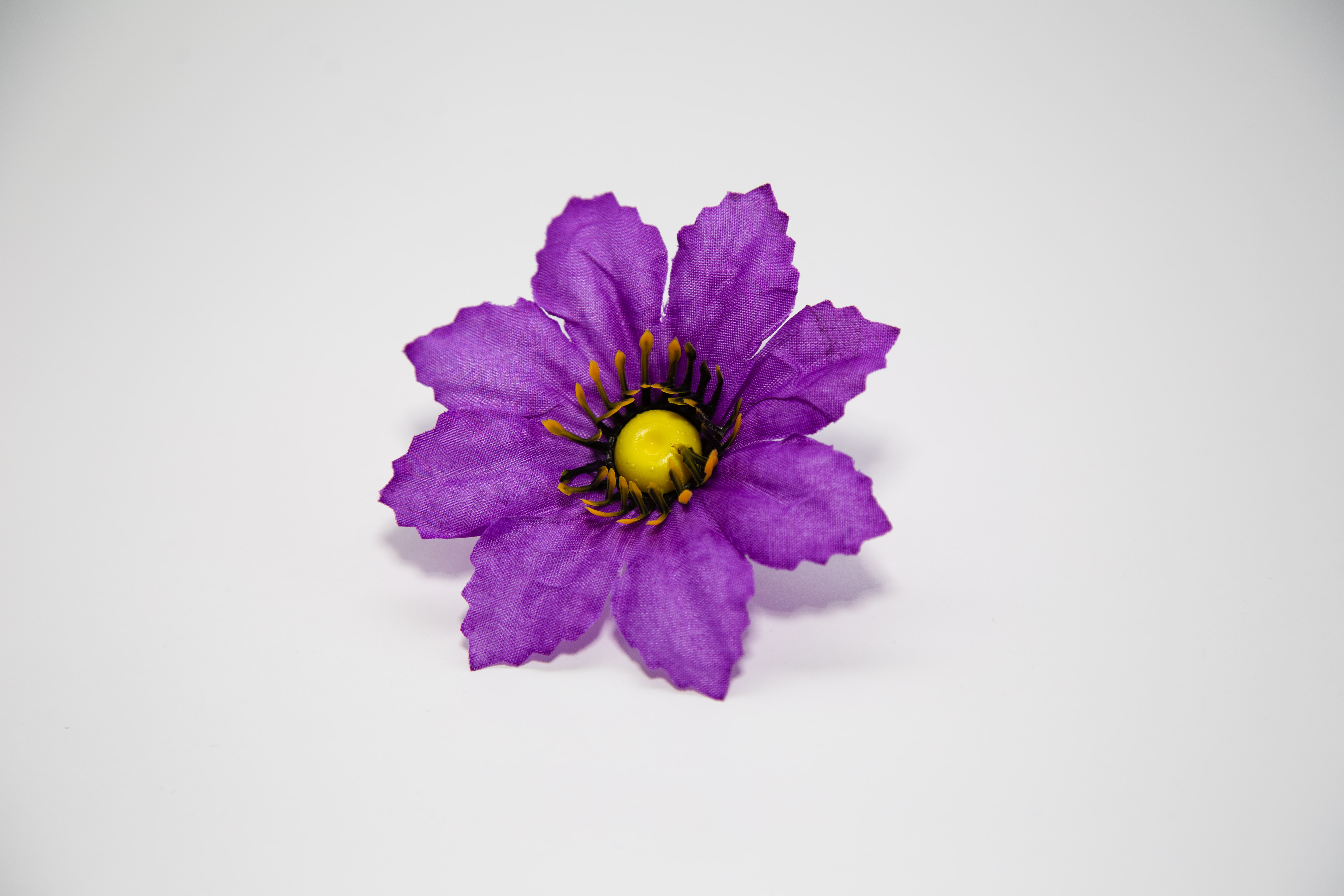 Астра малая Релинн 9,5см №50034