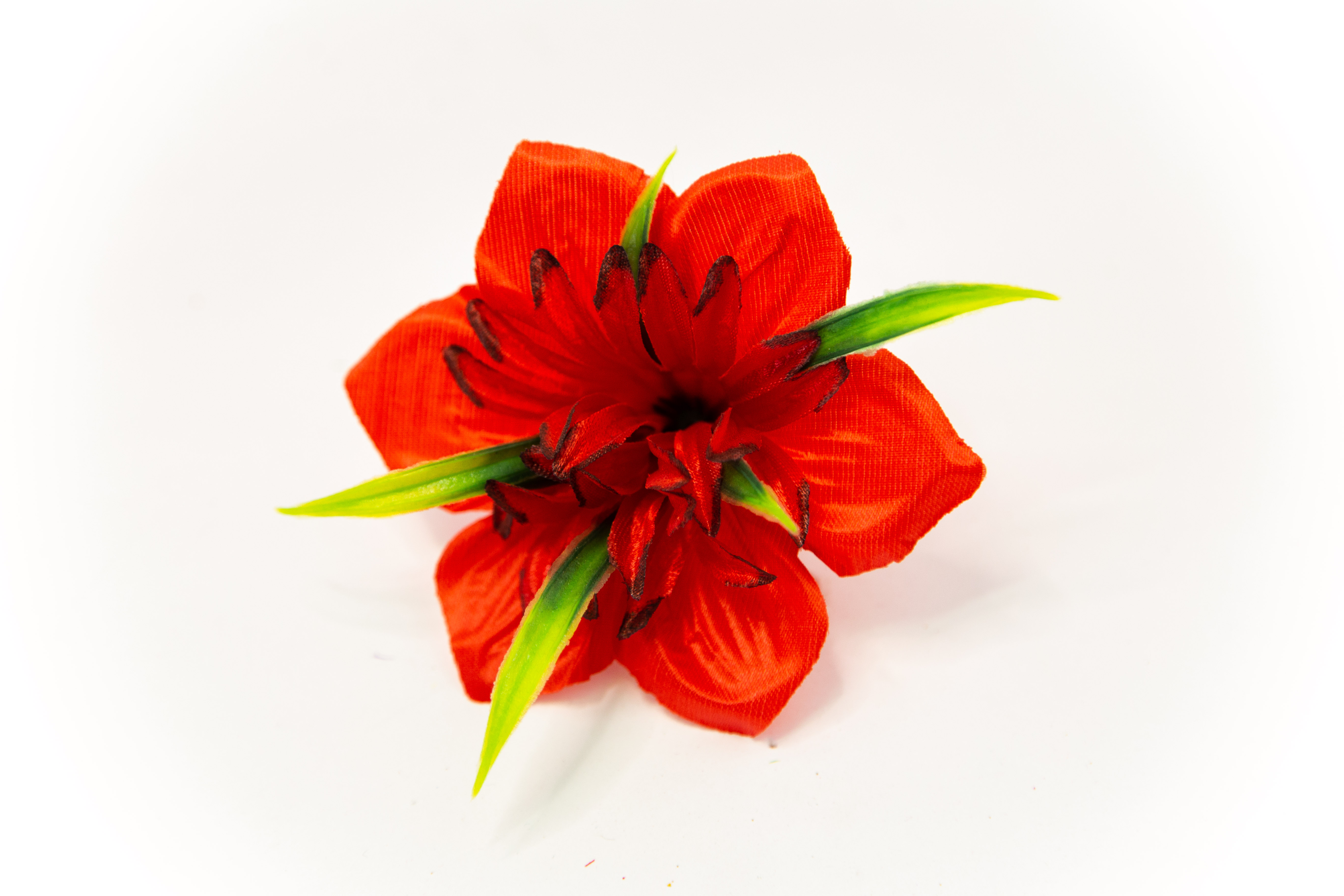 Георгин махровый Аллан 11см  №5922