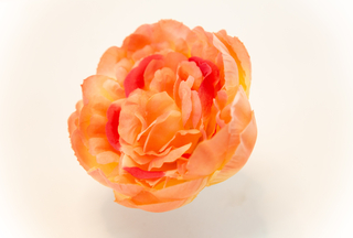 Пион Оскар 10см  №50010