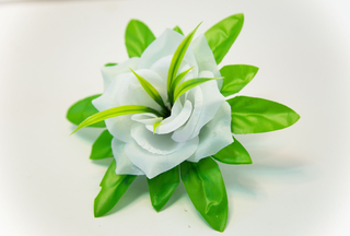 Роза Лузиана 18,5см  №5854