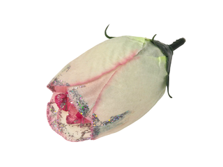 Тюльпан с серебром  