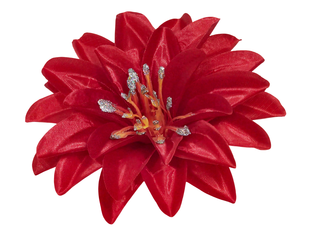 Георгин атласный крупный с серебрен серединкой 