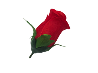 Бутон розы с листиком 