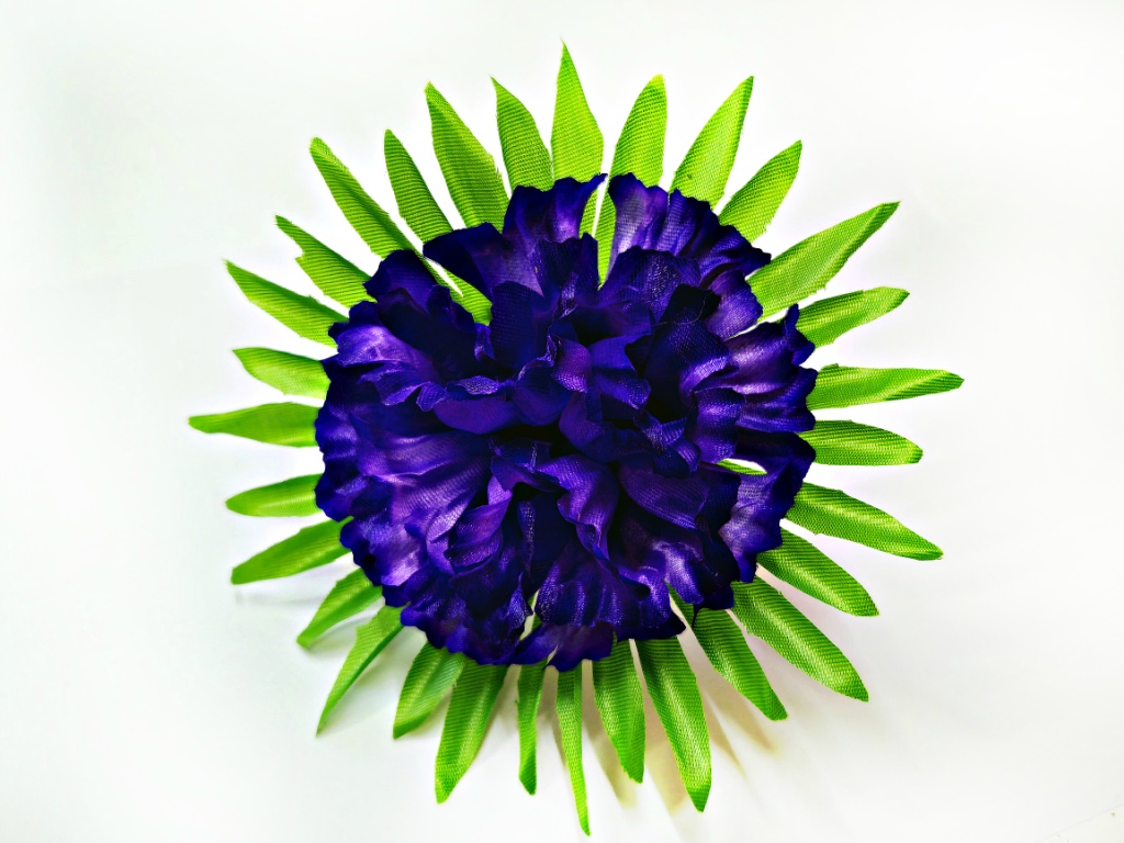 Астра атласная на листе 