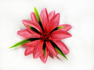 Лилейник атласный  