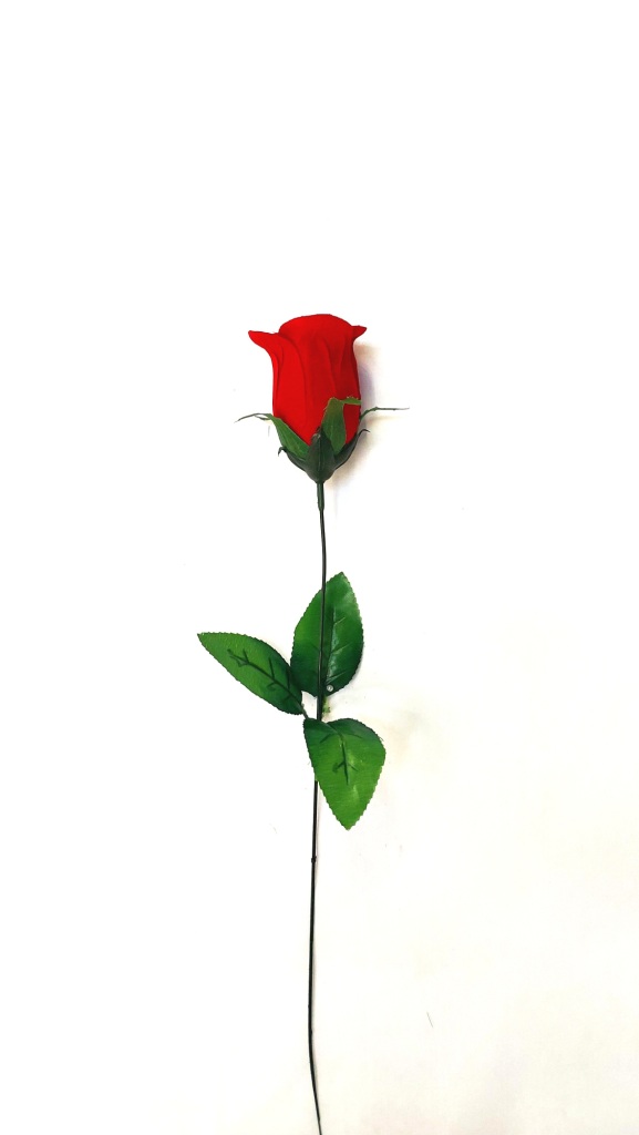 20220816_172030.jpg