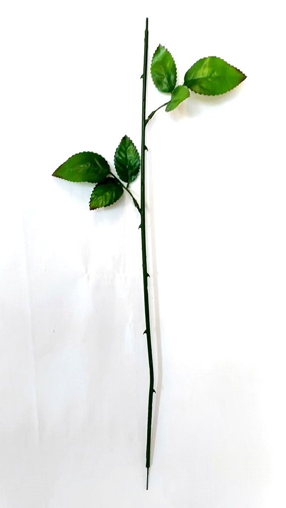 20220829_141903.jpg