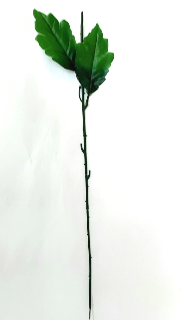 20220829_141833.jpg