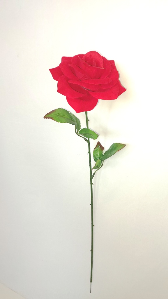 20221014_142956.jpg