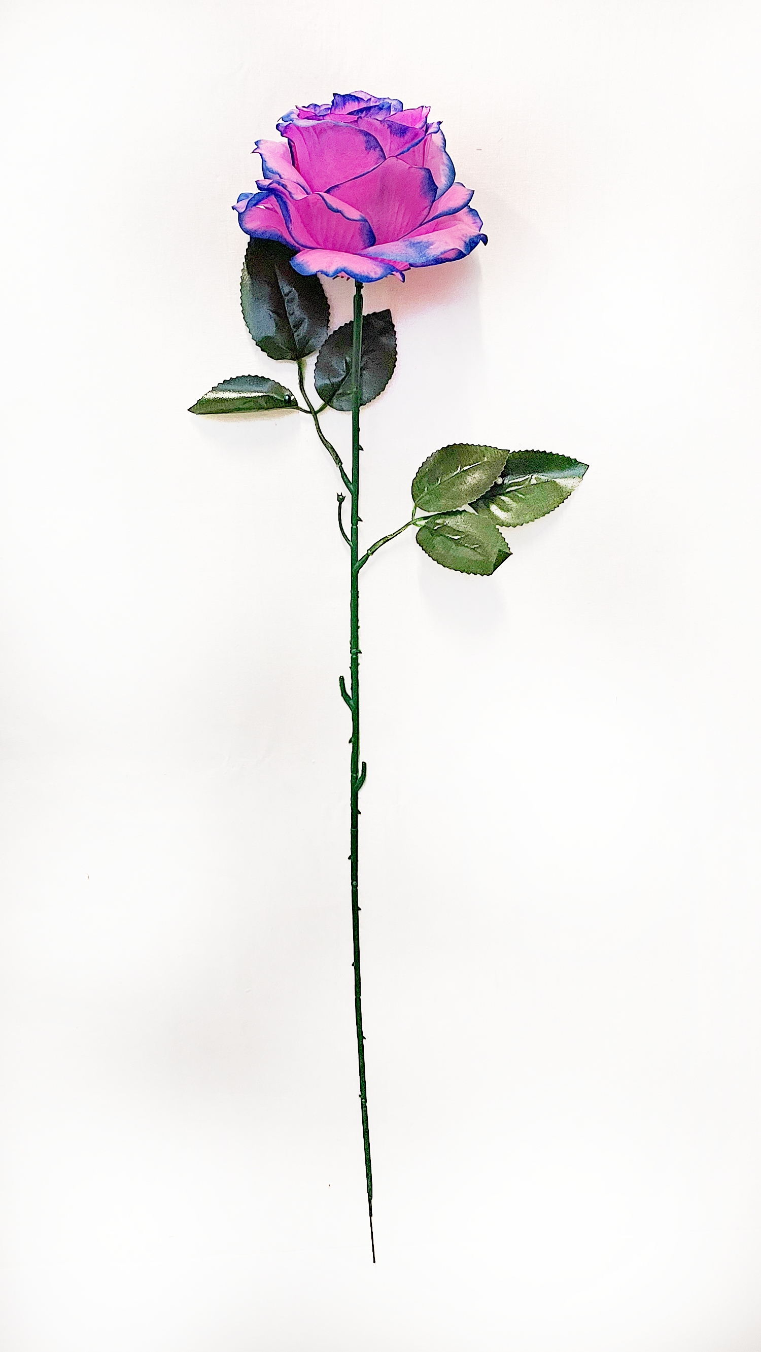 000058.jpg