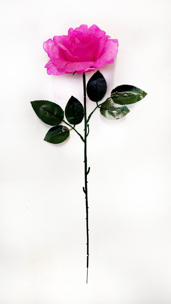 00060.jpg