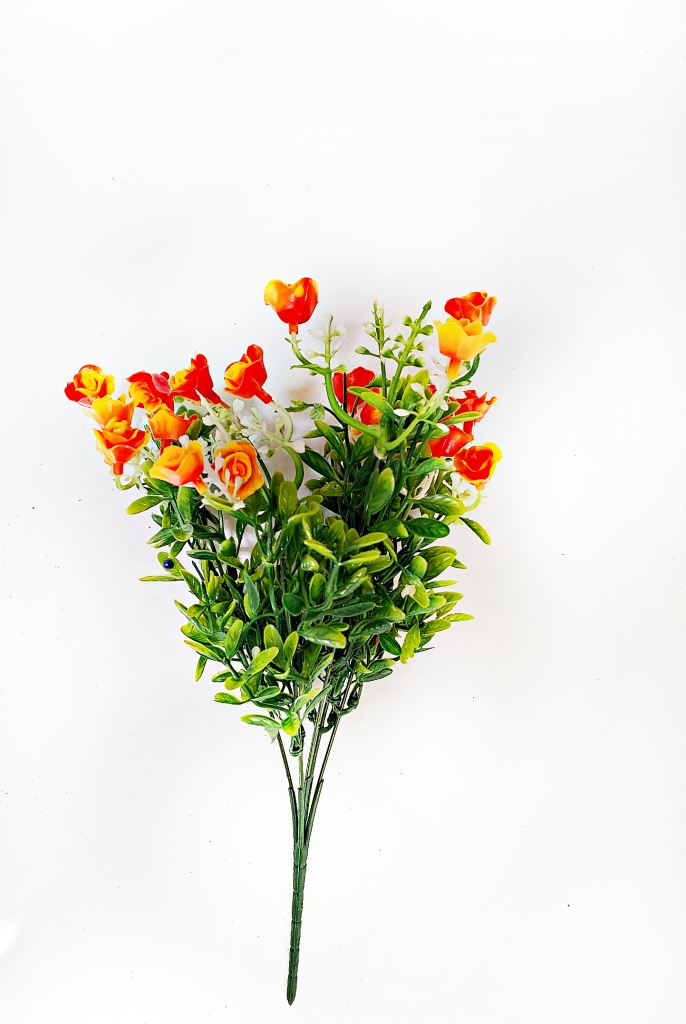 4108_1_.jpg