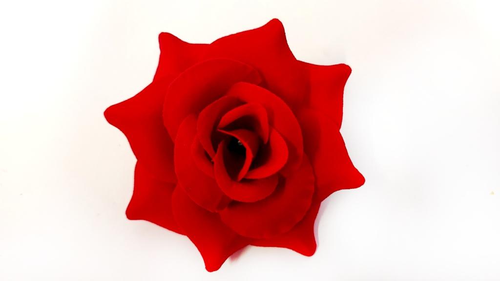 5890_1_.jpg
