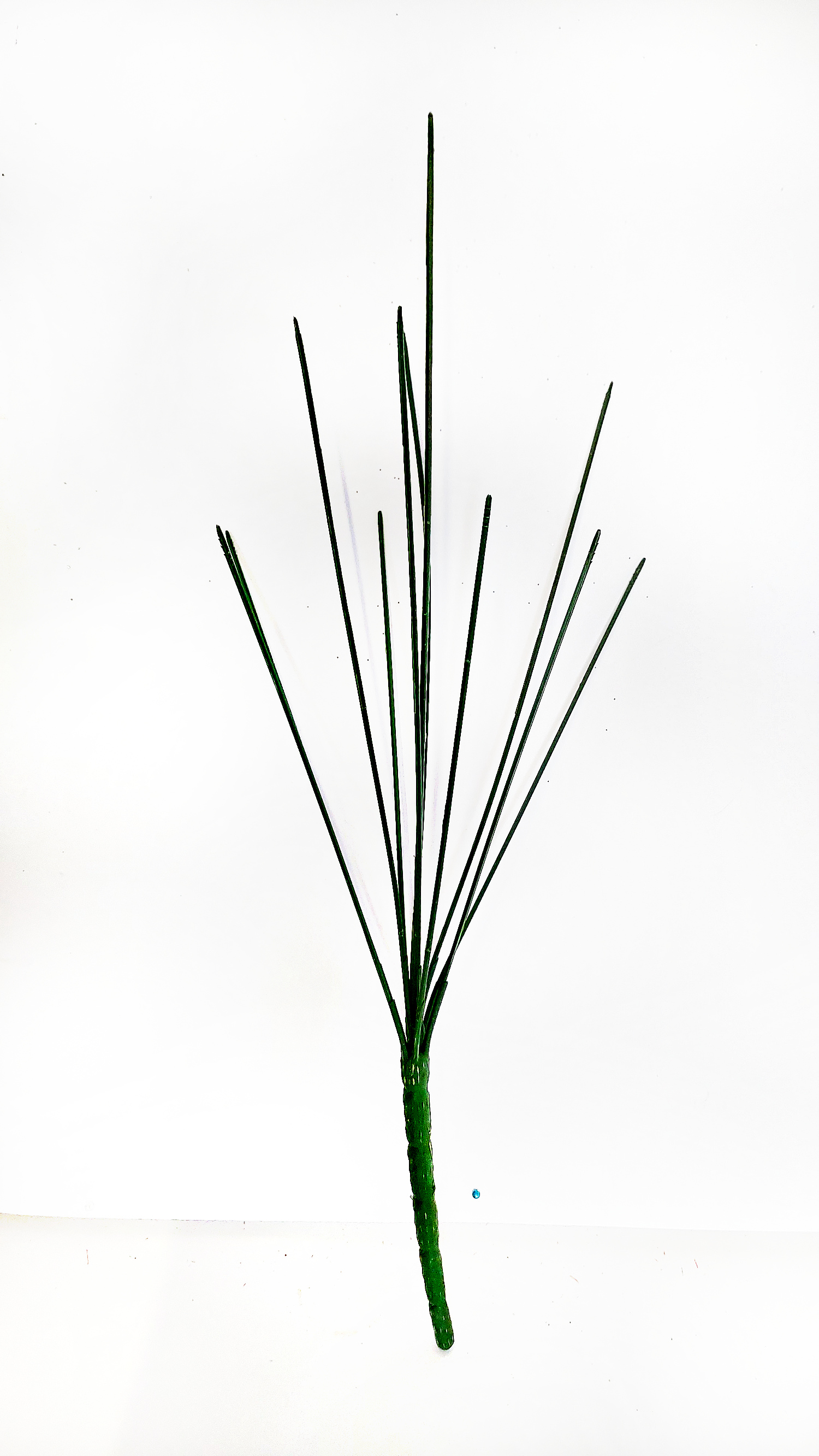4742_1_.jpg