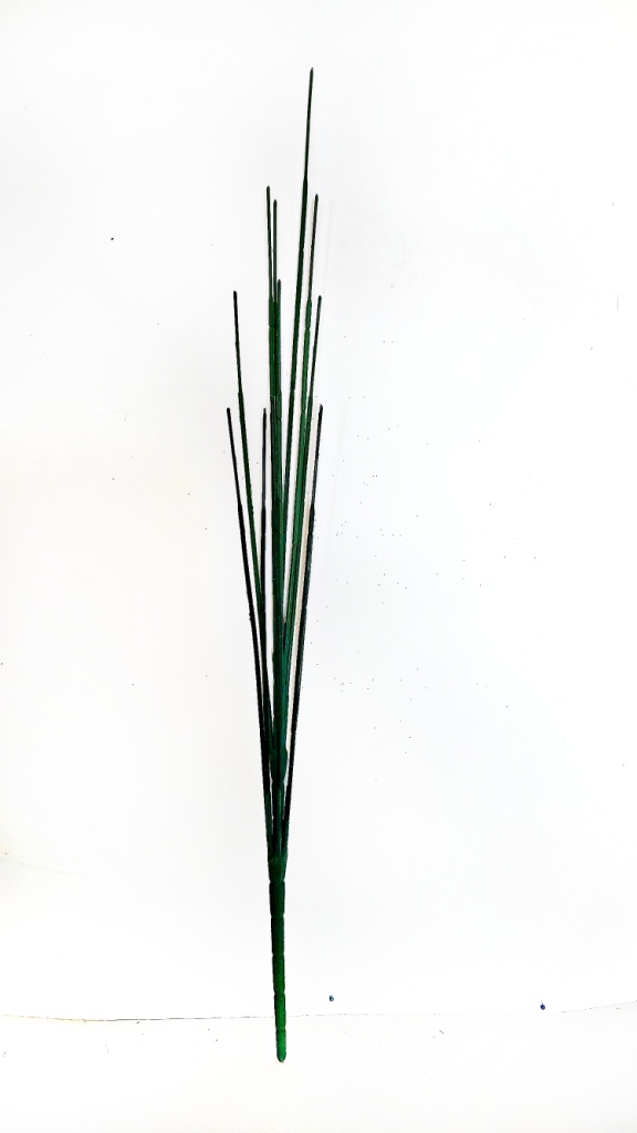 4744_1_.jpg