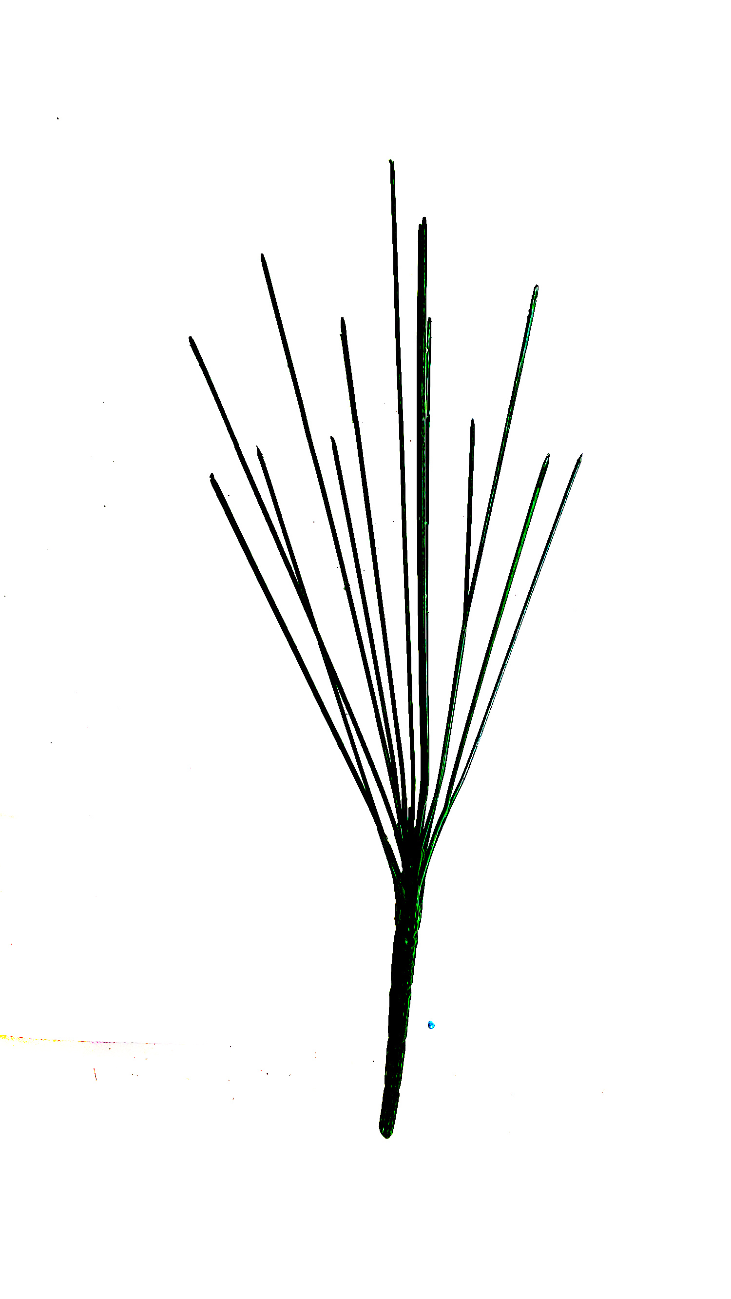 4745_1_.jpg