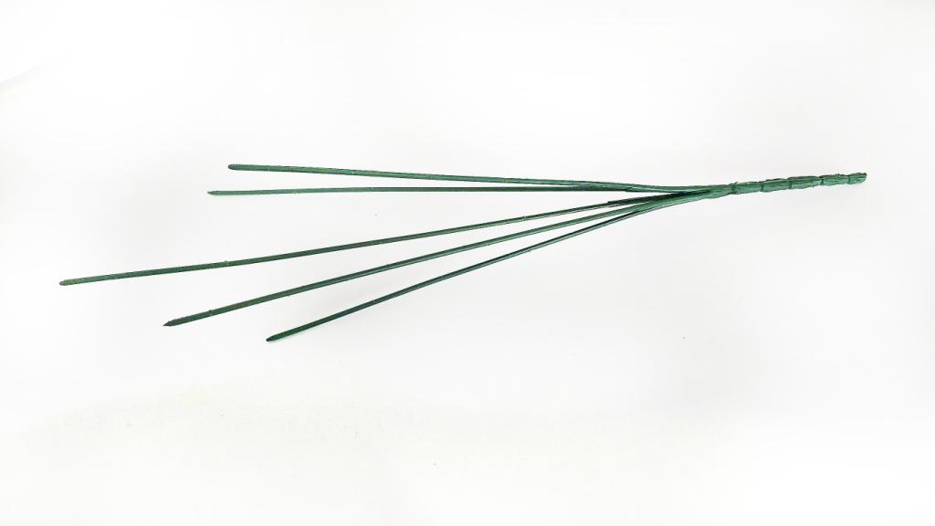 4573.jpg