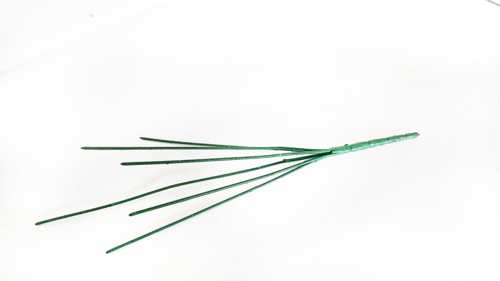 4749.jpg
