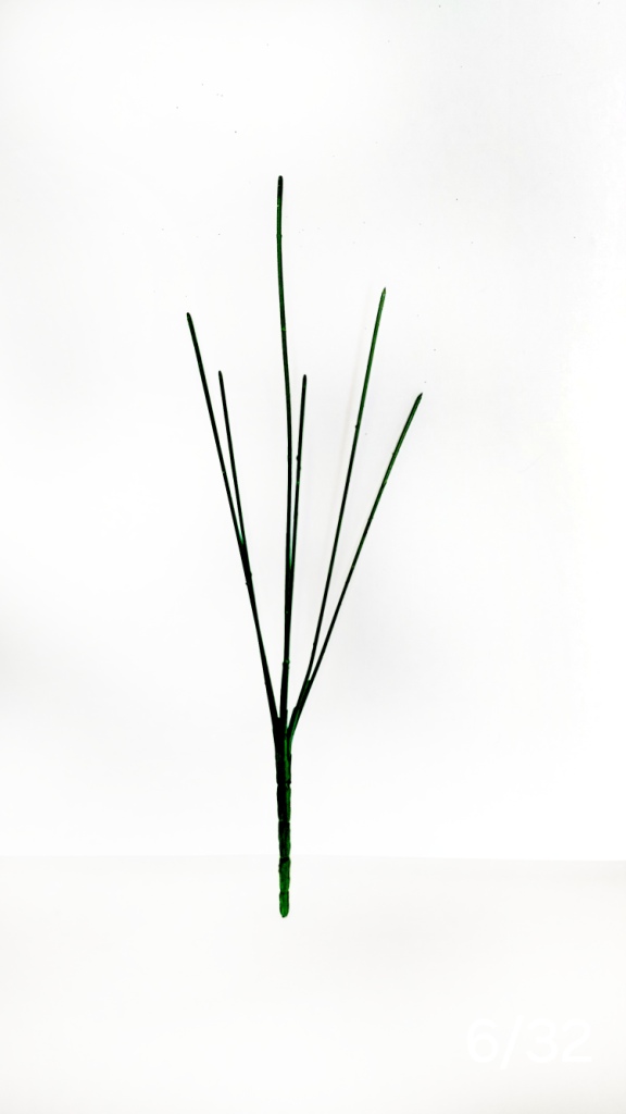 4749_1_.jpg