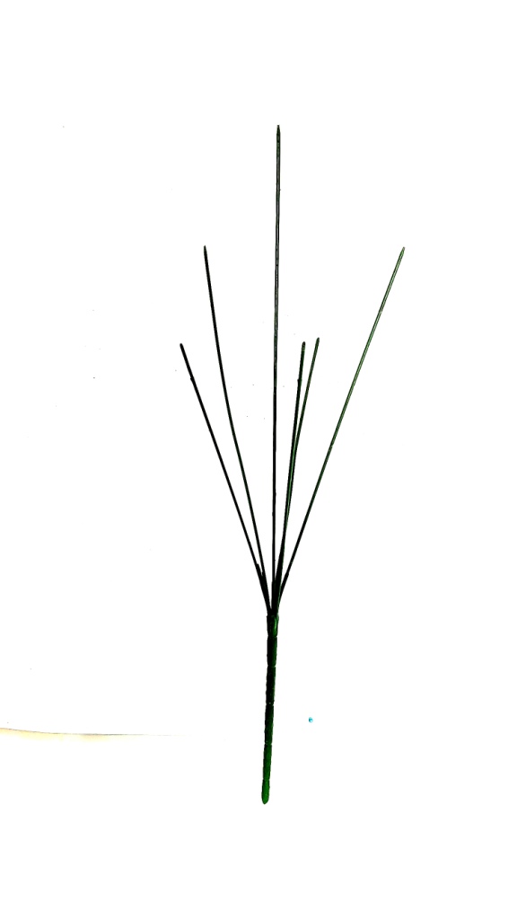 4751_1_.jpg