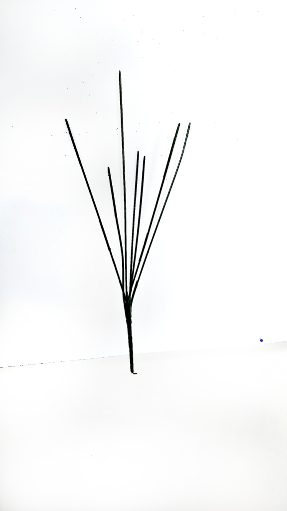 4549_1_.jpg