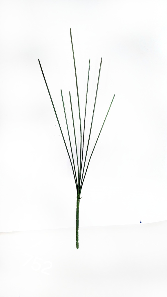 4753_1_.jpg