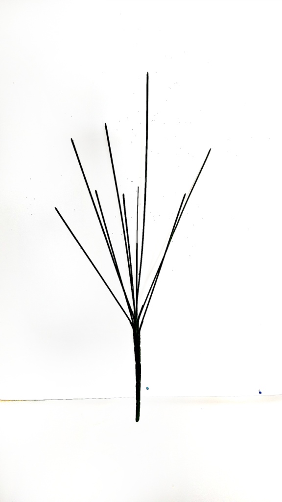 4757_1_.jpg