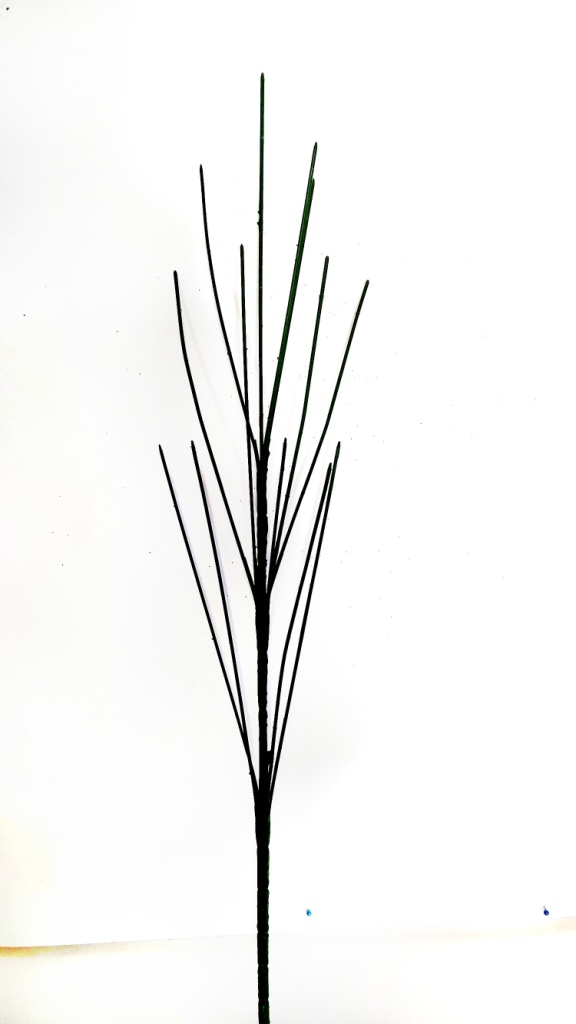 4743_1_.jpg