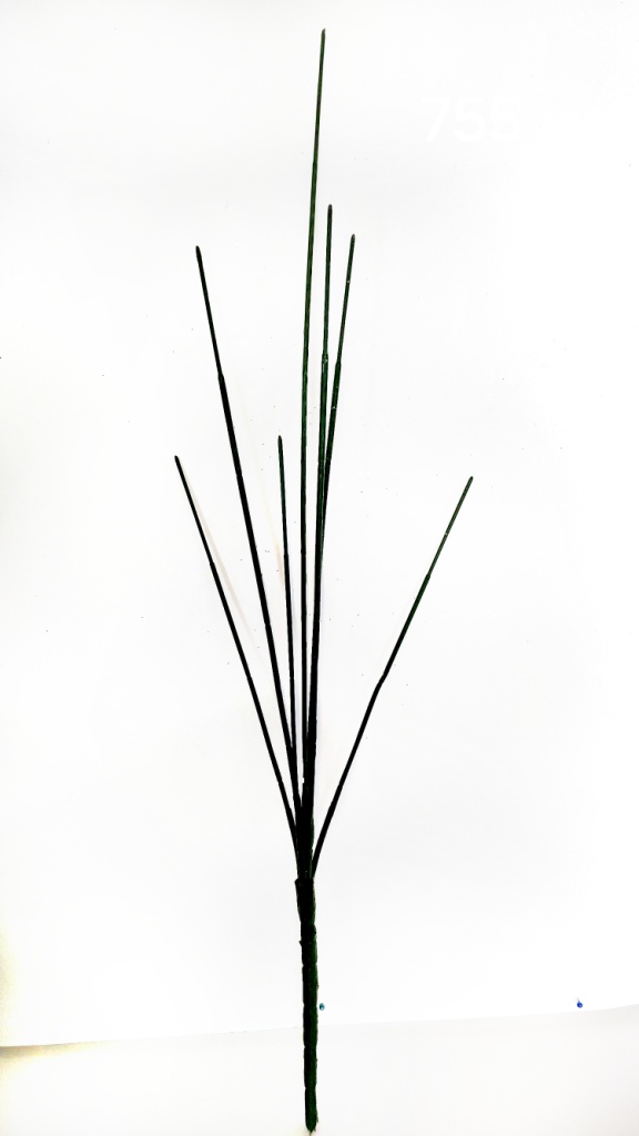 4756_1_.jpg