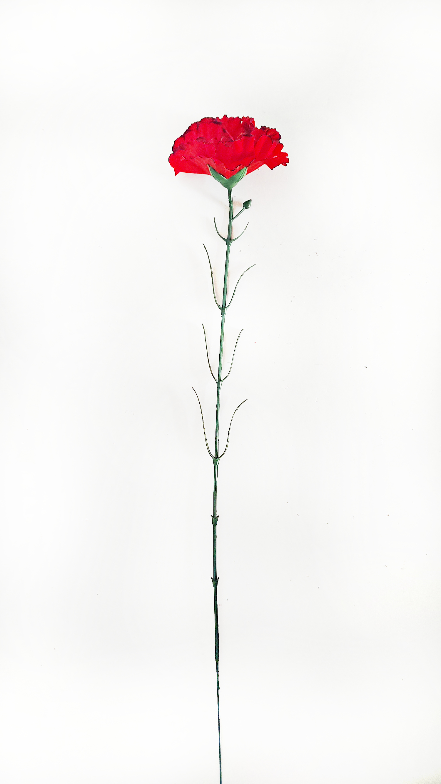 6701_1_.jpg
