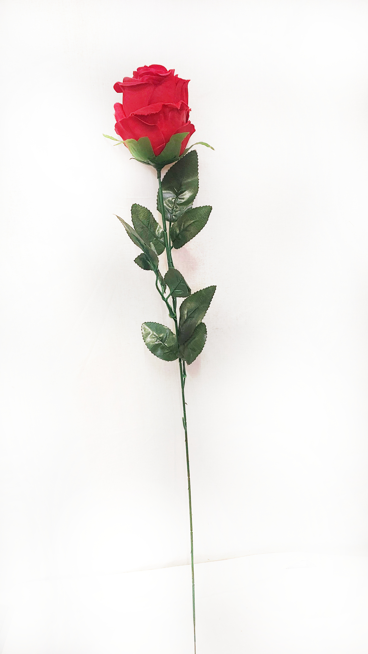 6700_1_.jpg