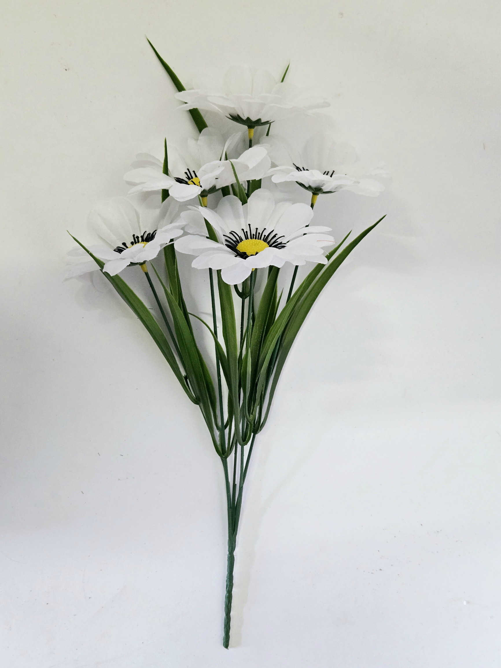 2954_1_.jpg