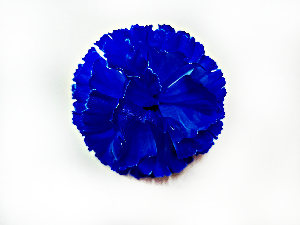 51067.jpg