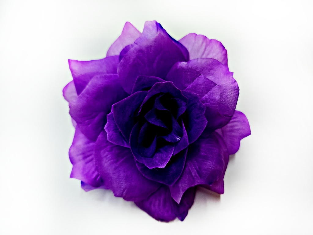 51066_1_.jpg